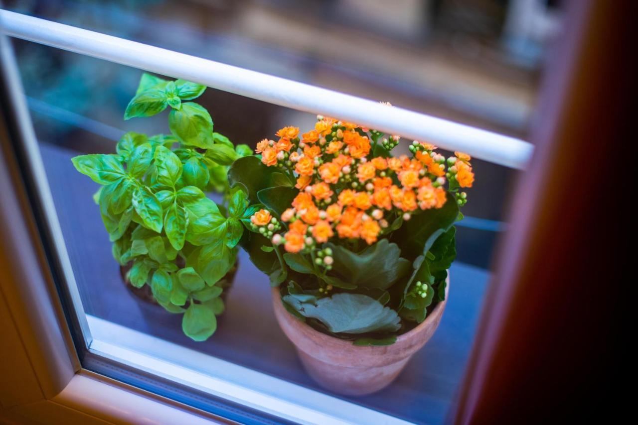 Monolocale Vicino Alla Stazione E All'Expo Apartment เจนัว ภายนอก รูปภาพ